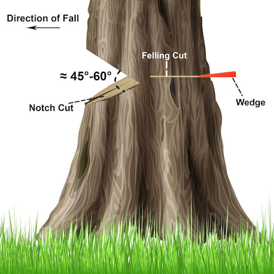 Holzfforma 10" Felling Wedge