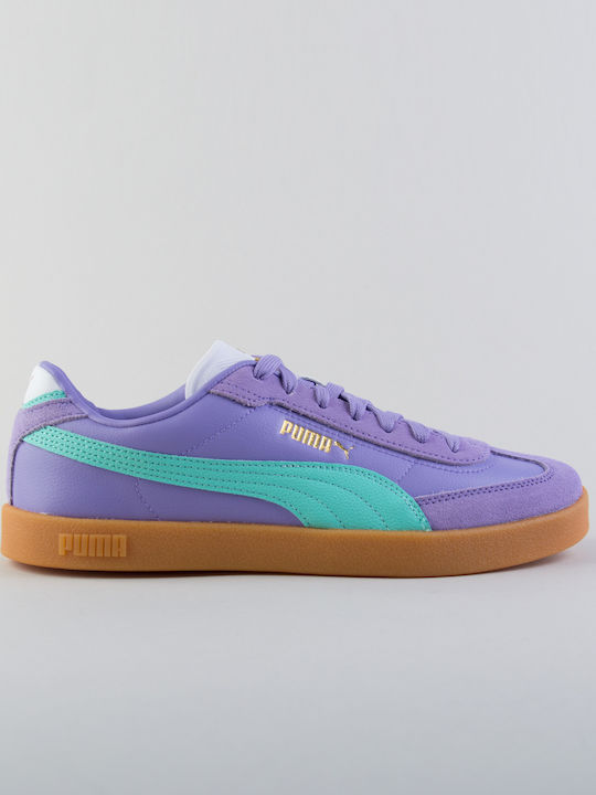 Club II Era Low Маратонки Purple - Mint