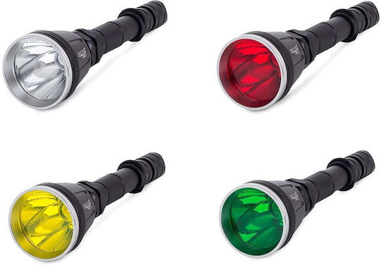 Bailong LED