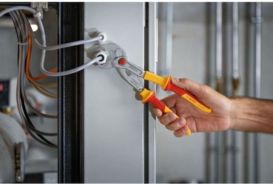 Bosch Γκαζοτανάλια 250mm