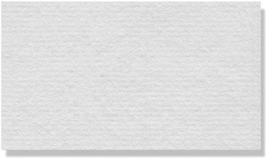 Canson Ingres Papier 50x65 100g/m² Weiß 1 Blatt