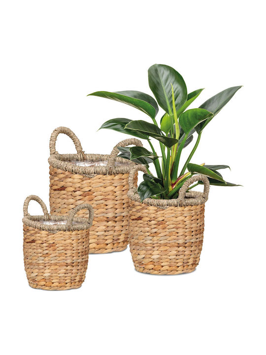 Scheurich Planter Wicker Beige