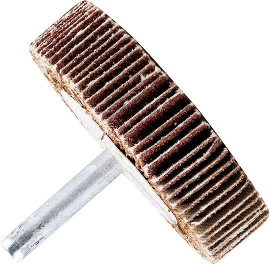 Flap Disc 60 X 15 X 6 Mm P100