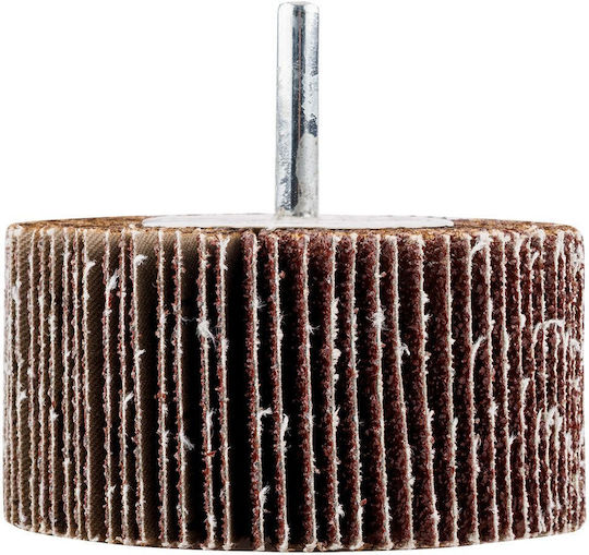 Flap Disc 60 X 30 X 6 Mm P40