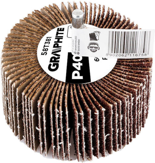 Flap Disc 60 X 30 X 6 Mm P40