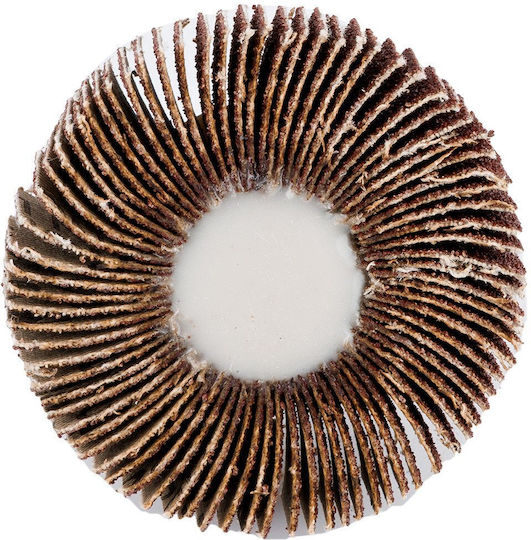 Flap Disc 60 X 15 X 6 Mm P120