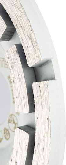 Diamond Grinding Disc 2 Segments 115 X 22.2 Mm Dry Use