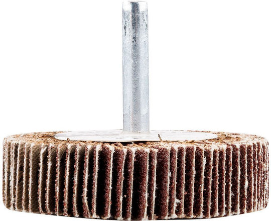 Flap Disc 60 X 15 X 6 Mm P40