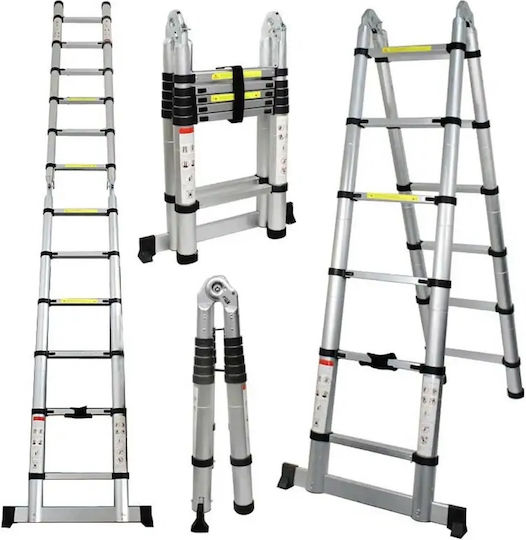 Veritas Telescopic Ladder Aluminum of Steps