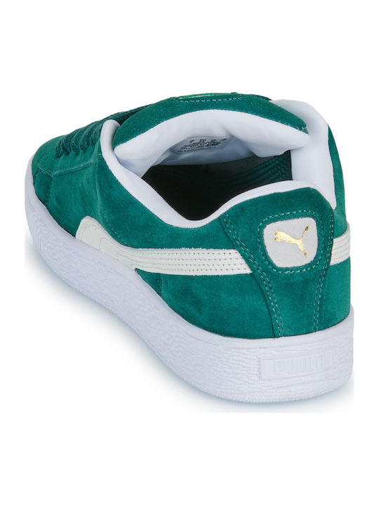 Sneakers Dark Myrtle / Warm White