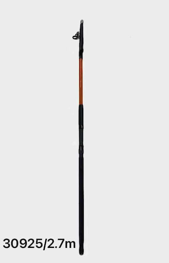 Fishing Rod for Casting 2.7m 100-200gr