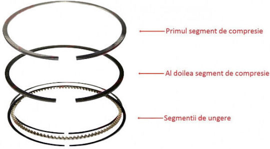 Siguranțe pentru Piston Motocicletă 44mm