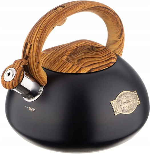 Klausberg Teekanne Aluminium Schwarz 3000ml