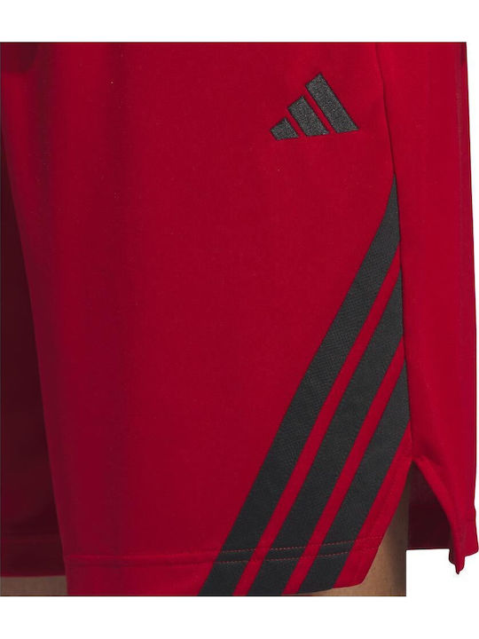 3-Stripes Herren Shorts Rote