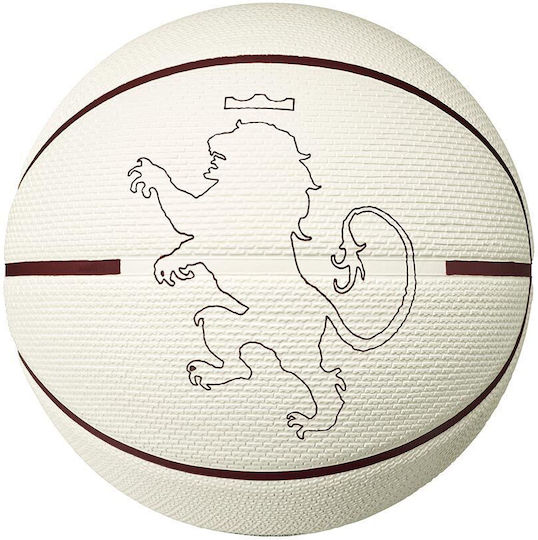 Nike Playground 8p 2.0 L James Μπάλα Μπάσκετ