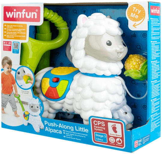 Winfun Baby Toy with Sounds for 12++ Months