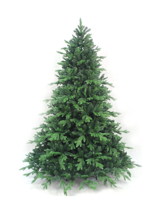 Christmas Tree Deaware Silver Fir 210cm with 2926 Branches