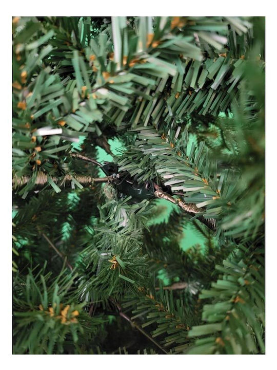 Weihnachtsbaum Franklin Pine 210cm mit 3120 Zweige