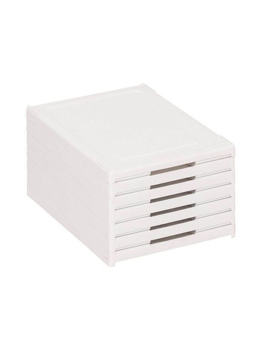 Plastik Schuhschrank 25.5x35.5x108cm