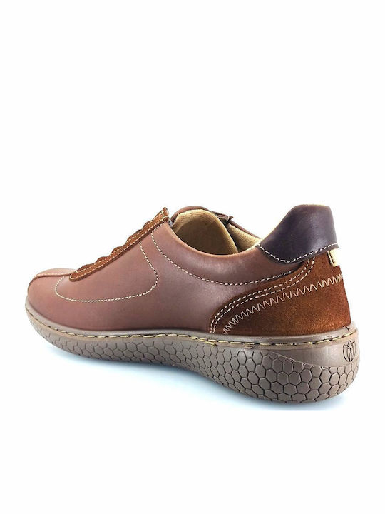 Sneakers Tabac Brown