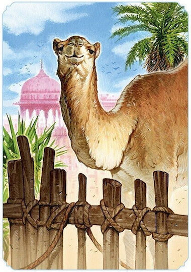 Board Game Jaipur for 2 Players 10+ Years Old (PL) Rebel