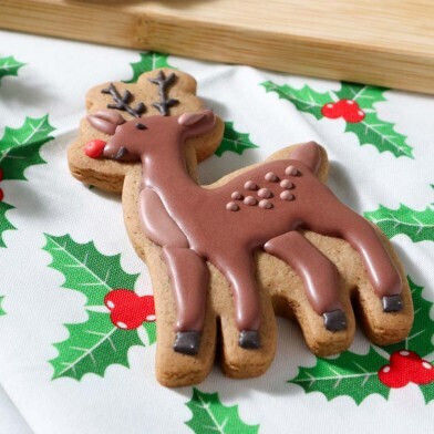 PME Plastic Cookie Cutters 3 Pieces