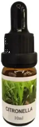 Spring Αιθέριο Έλαιο Κιτρονέλλας 10ml Citronella Essential Oil 10ml
