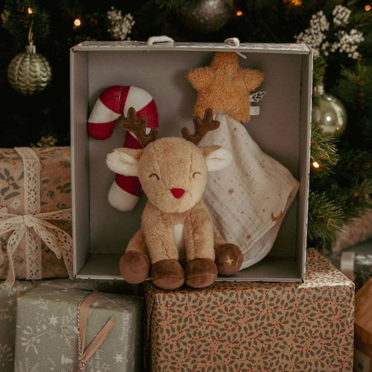 Little Dutch Baby Gift Set Grs 3pcs