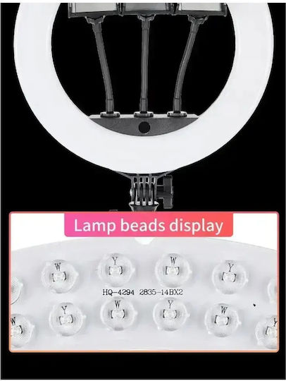 Ring Light 34cm with Mobile Phone Holder