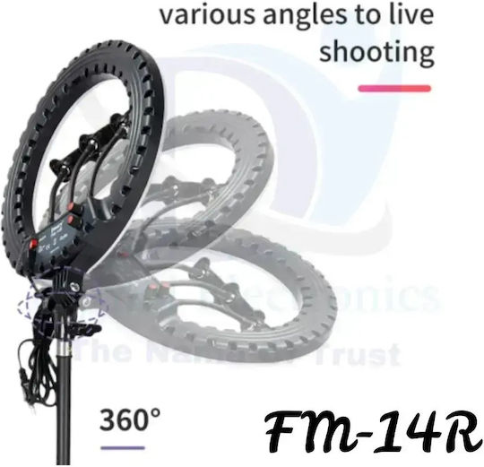 Ring Light 34cm with Mobile Phone Holder