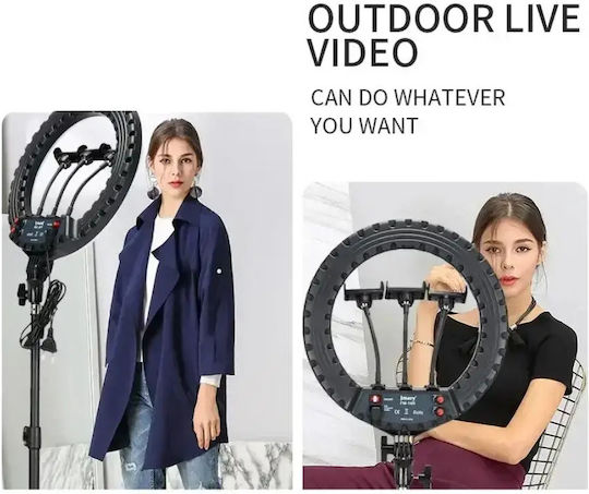 Ring Light 34cm with Mobile Phone Holder