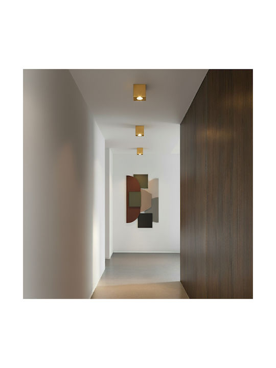 kelvo Akira Spot with Socket GU10 in Gold Color