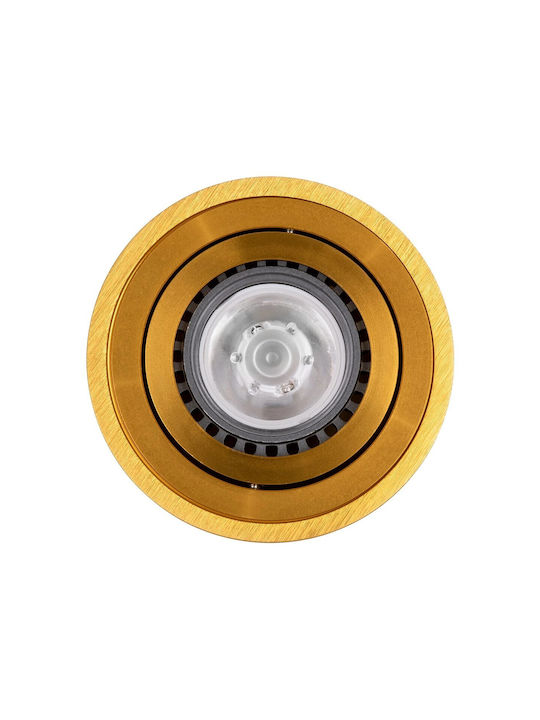 kelvo Akira Spot with Socket GU10 in Gold Color
