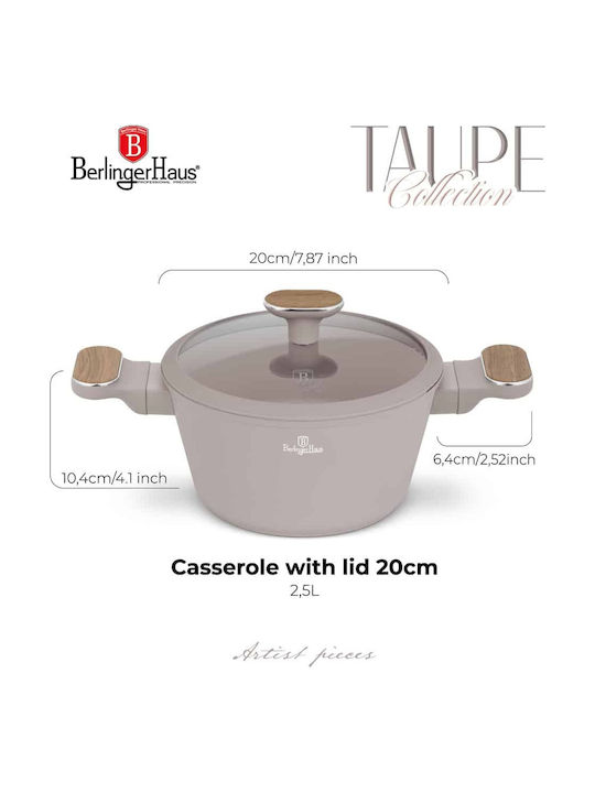 Berlinger Haus Deep Pot Made of Aluminum 2.6lt / 20cm