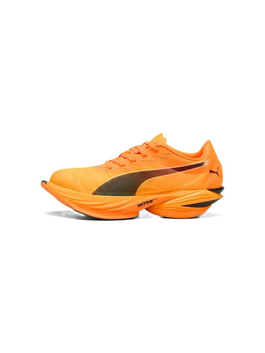 Nitro Elite Sport Shoes Running Heat Fire / Sun Stream
