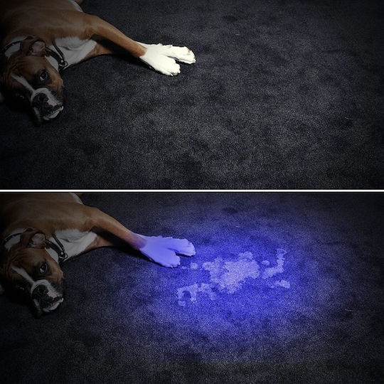 Taschenlampe LED UV Flashlight