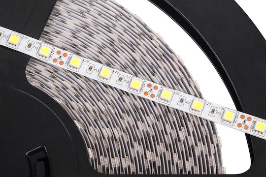 Rebel Bandă LED 12V Alb Rece Lumină 25m Tip SMD5050