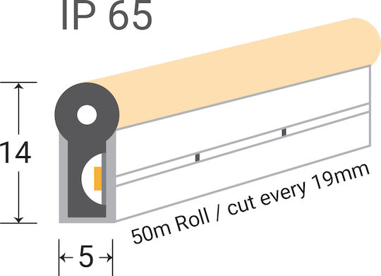 Eurospot Rezistent la apă Bandă LED 24V 5m Neon Flex