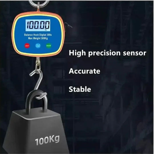 Portable Digital Electronic Professional Hanging Scale with Weighing Capacity of 300kg