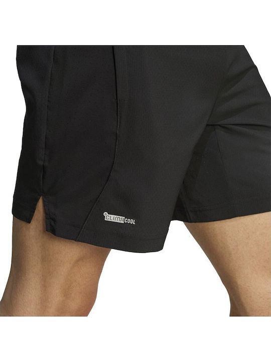 Climacool Sportliche Herrenshorts Schwarz