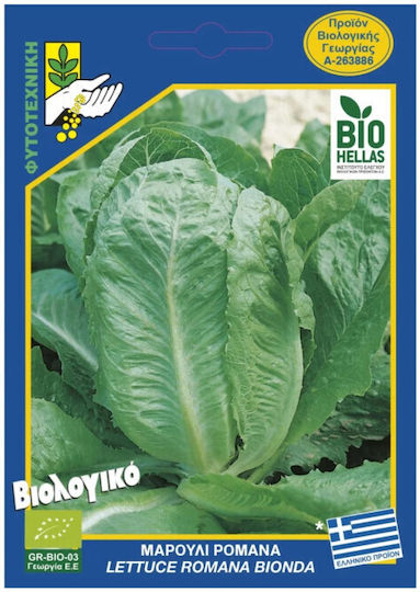Geniki Fytotechniki Athinon Semințe Salată Verde Română Organică 10gr