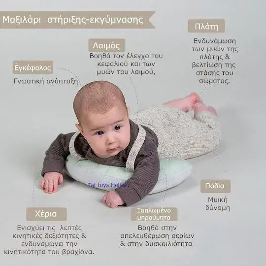 Taf Toys Παιχνίδι Μπάνιου