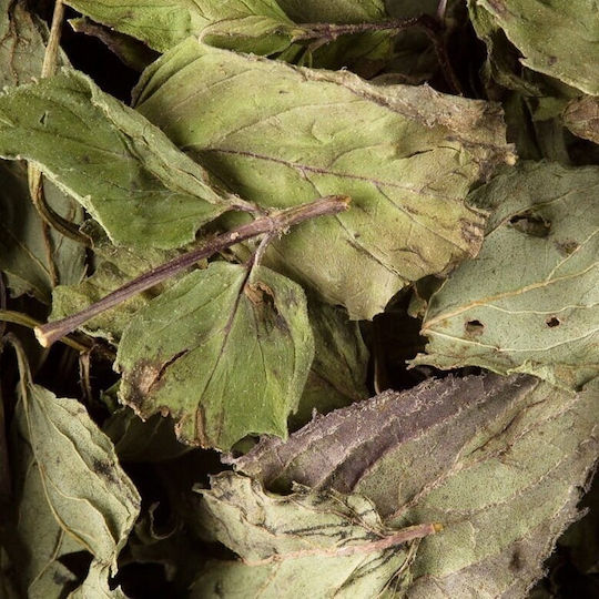 Dammann Herbal Tea Menthe Mint 24 Sachets