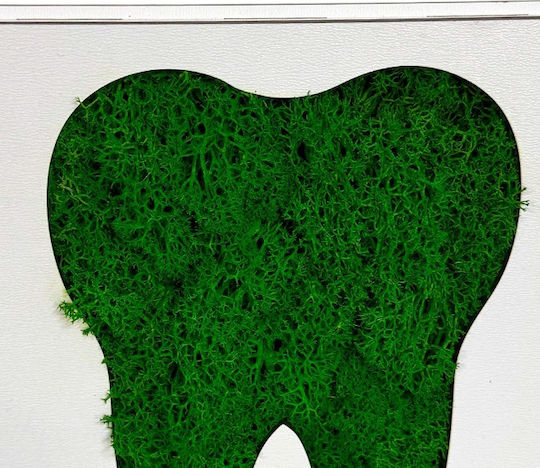 Green Smile Picture Stabilized Natural Moss Green