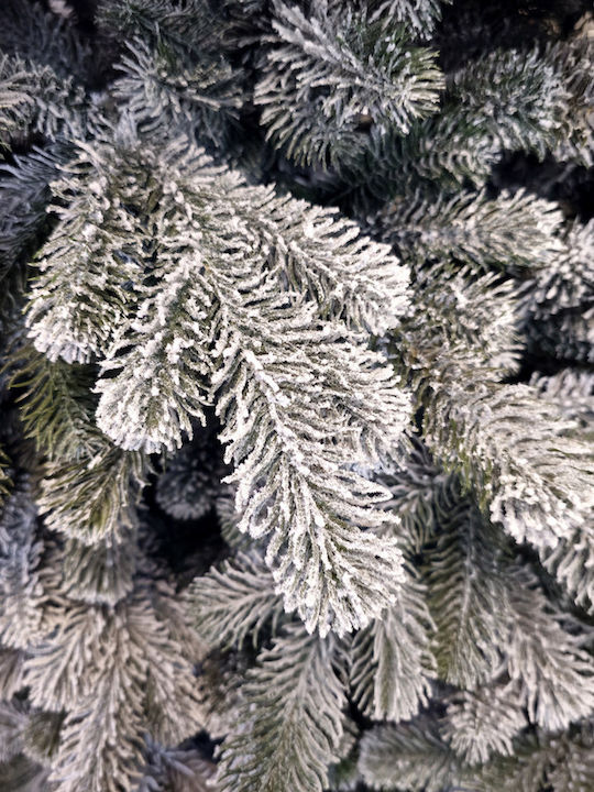 Weihnachtsbaum Kovalivka Beschneit 230cm mit 610 Zweige