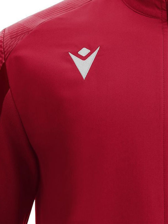 Sweatshirt Red
