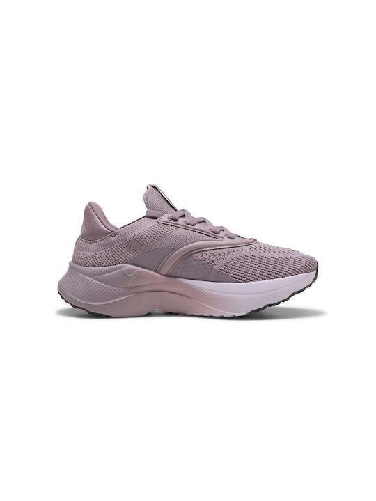 Softride Mayve Sport Shoes Running Plum / Lilac