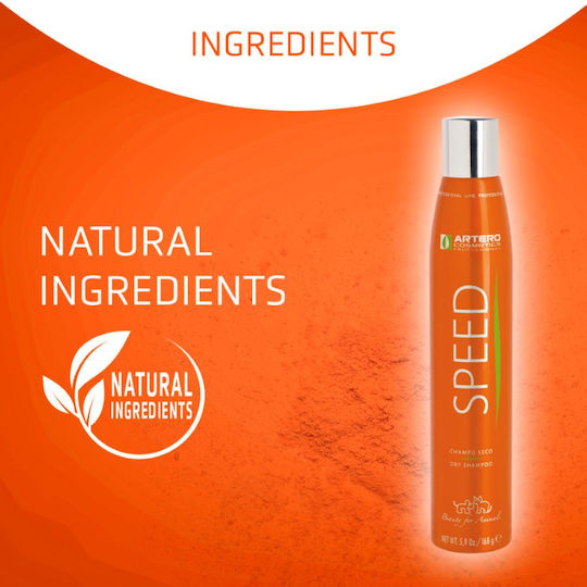 Επαγγελματικό Σπρέι Ταλκ Ξηρό Σαμπουάν Artero Speed Dry Shampoo 300ml
