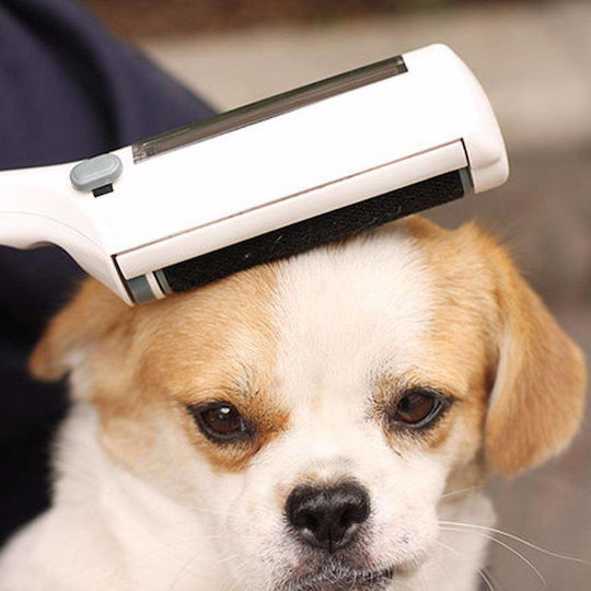 Value Imports Brush Dogs for Coat Grooming