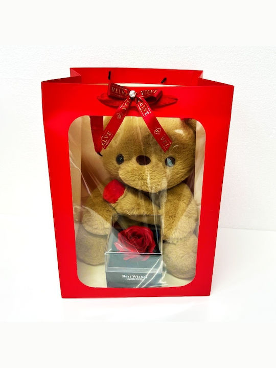 Velve Damentrageset Armbänder 30cm